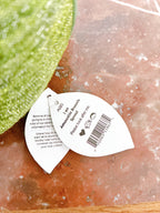 Jellycat Amuseable Brussels Sprout (New with tag)